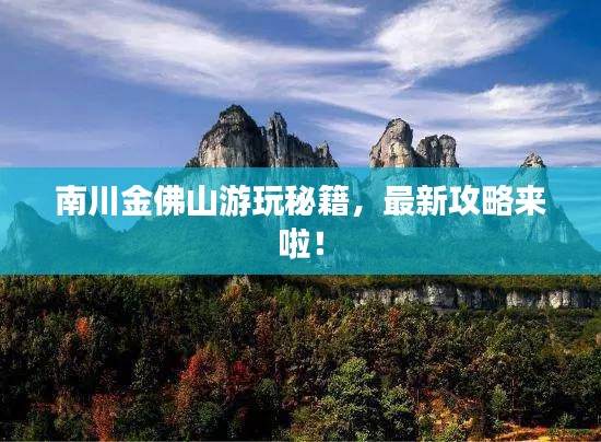 南川金佛山游玩秘籍，最新攻略來啦！