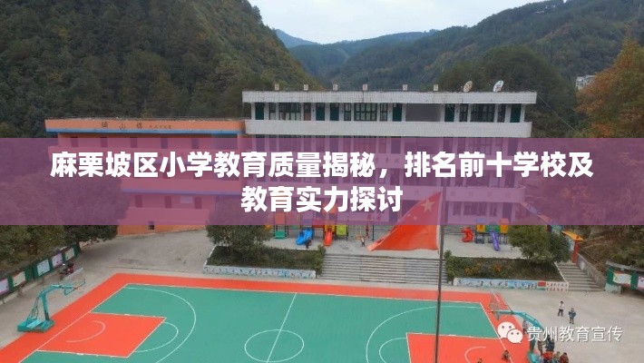 麻栗坡區(qū)小學(xué)教育質(zhì)量揭秘，排名前十學(xué)校及教育實(shí)力探討