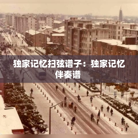 獨(dú)家記憶掃弦譜子：獨(dú)家記憶伴奏譜 