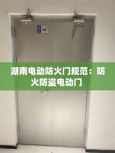 湖南電動防火門規(guī)范：防火防盜電動門 