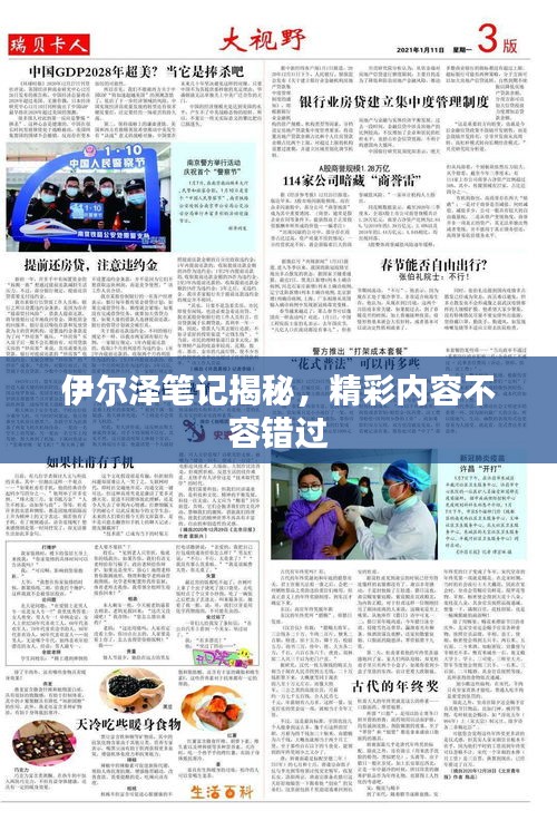 伊爾澤筆記揭秘，精彩內容不容錯過