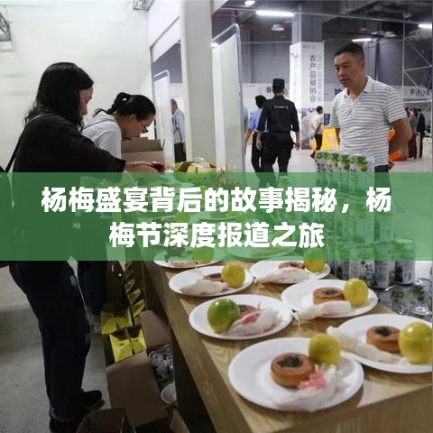 楊梅盛宴背后的故事揭秘，楊梅節(jié)深度報(bào)道之旅