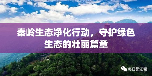 秦嶺生態(tài)凈化行動，守護綠色生態(tài)的壯麗篇章