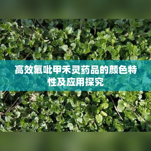 傷弓之鳥(niǎo) 第2頁(yè)