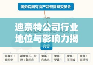 迪奈特公司行業(yè)地位與影響力揭秘，深度解析排名數(shù)據(jù)