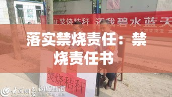 落實禁燒責(zé)任：禁燒責(zé)任書 