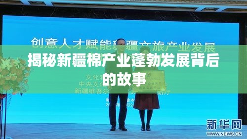 揭秘新疆棉產(chǎn)業(yè)蓬勃發(fā)展背后的故事