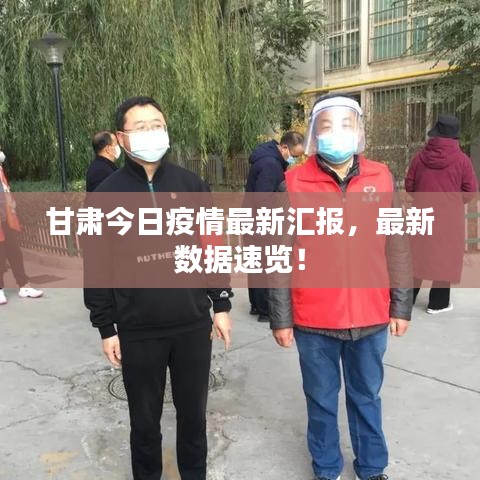 甘肅今日疫情最新匯報，最新數(shù)據(jù)速覽！