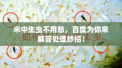 米中生蟲不用愁，百度為你來解答處理妙招！