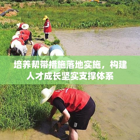 培養(yǎng)幫帶措施落地實(shí)施，構(gòu)建人才成長(zhǎng)堅(jiān)實(shí)支撐體系