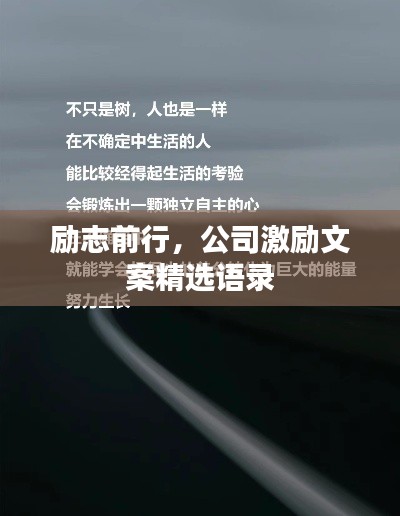 勵志前行，公司激勵文案精選語錄