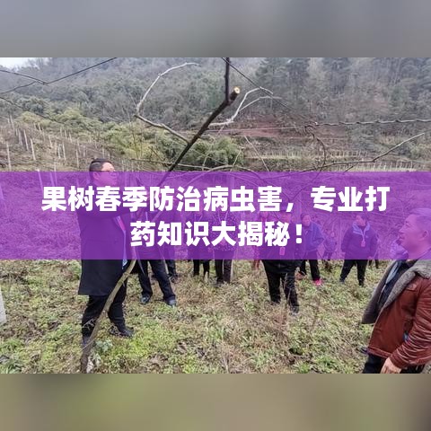 果樹春季防治病蟲害，專業(yè)打藥知識(shí)大揭秘！