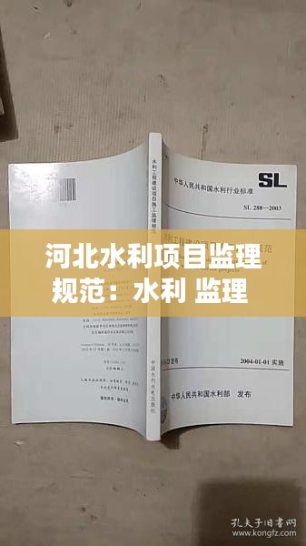 河北水利項目監(jiān)理規(guī)范：水利 監(jiān)理 規(guī)范 