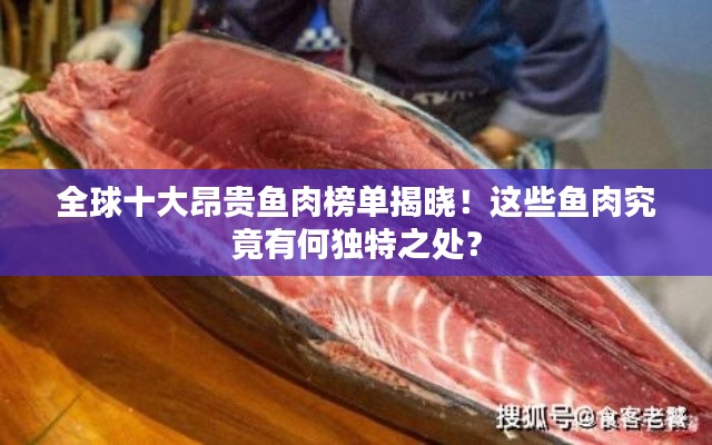 棲鳥(niǎo)于泉 第2頁(yè)