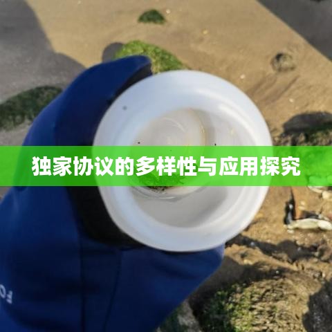 獨(dú)家協(xié)議的多樣性與應(yīng)用探究