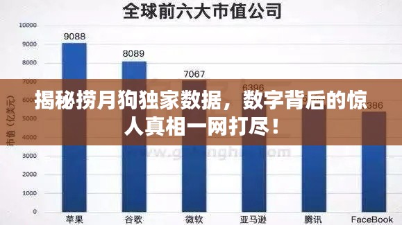 揭秘?fù)圃鹿藩?dú)家數(shù)據(jù)，數(shù)字背后的驚人真相一網(wǎng)打盡！