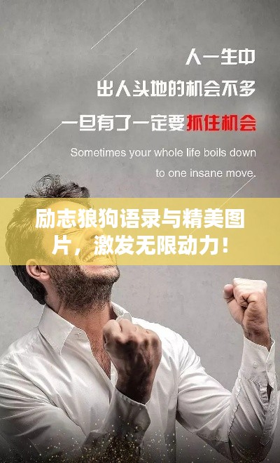 勵志狼狗語錄與精美圖片，激發(fā)無限動力！