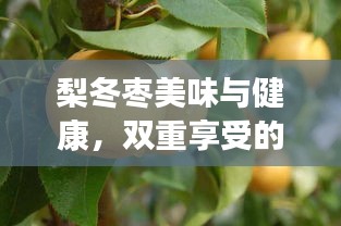 觀往知來(lái) 第2頁(yè)