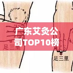 廣東艾灸公司TOP10榜單揭曉，權(quán)威排名，不容錯過！