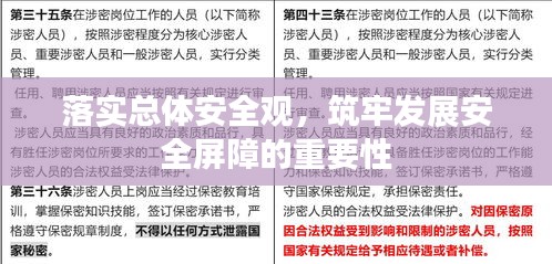 落實總體安全觀，筑牢發(fā)展安全屏障的重要性