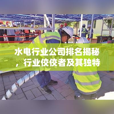 水電行業(yè)公司排名揭秘，行業(yè)佼佼者及其獨(dú)特風(fēng)格盤(pán)點(diǎn)
