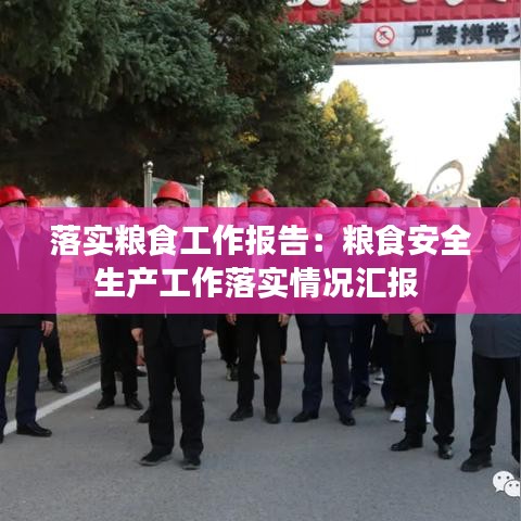 落實(shí)糧食工作報(bào)告：糧食安全生產(chǎn)工作落實(shí)情況匯報(bào) 