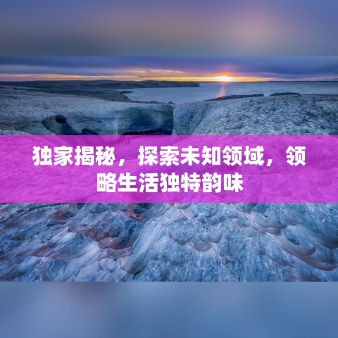 獨(dú)家揭秘，探索未知領(lǐng)域，領(lǐng)略生活獨(dú)特韻味