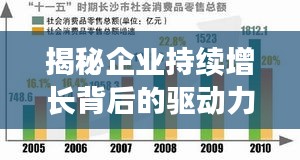 揭秘企業(yè)持續(xù)增長(zhǎng)背后的驅(qū)動(dòng)力，大業(yè)務(wù)持續(xù)拓展之路