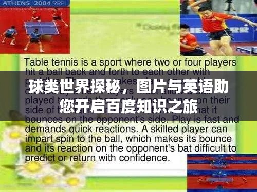 球類世界探秘，圖片與英語助您開啟百度知識(shí)之旅