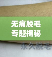 無痛脫毛專題揭秘，現(xiàn)代脫毛技術(shù)的革新與優(yōu)勢