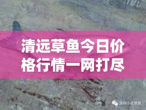 不知不覺 第2頁