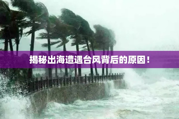 貴戚之卿 第3頁(yè)