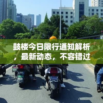 鼓樓今日限行通知解析，最新動(dòng)態(tài)，不容錯(cuò)過！