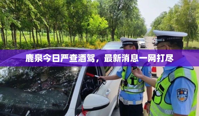 鹿泉今日嚴(yán)查酒駕，最新消息一網(wǎng)打盡