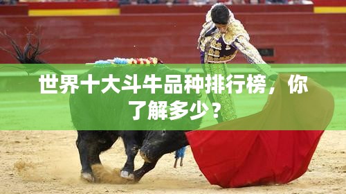 世界十大斗牛品種排行榜，你了解多少？