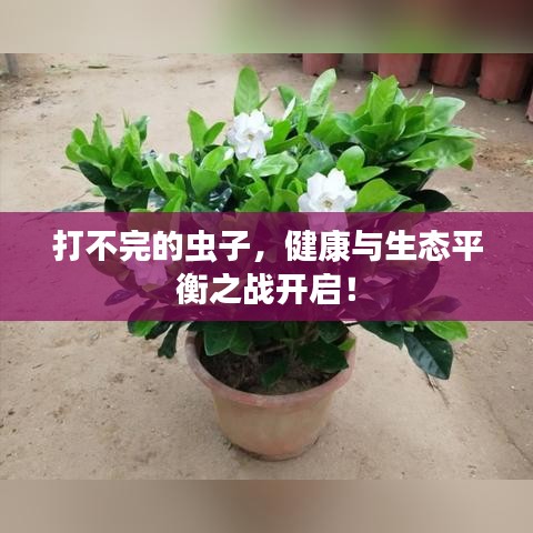 打不完的蟲子，健康與生態(tài)平衡之戰(zhàn)開啟！