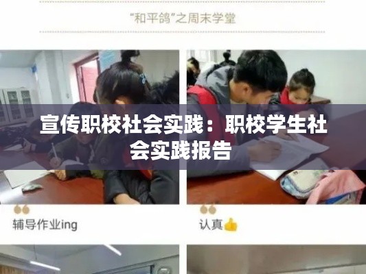宣傳職校社會實踐：職校學(xué)生社會實踐報告 