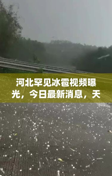 篤學(xué)好古 第3頁