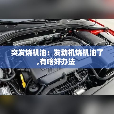 突發(fā)燒機(jī)油：發(fā)動(dòng)機(jī)燒機(jī)油了,有啥好辦法 
