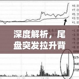 深度解析，尾盤突發(fā)拉升背后的動因及市場現(xiàn)象反思