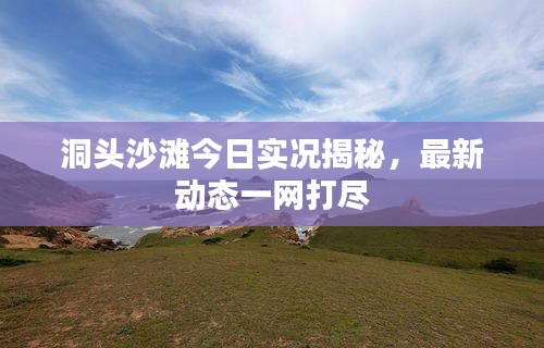洞頭沙灘今日實(shí)況揭秘，最新動態(tài)一網(wǎng)打盡