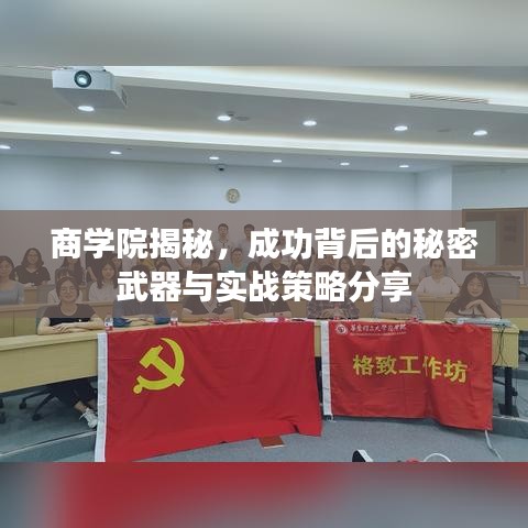 商學(xué)院揭秘，成功背后的秘密武器與實戰(zhàn)策略分享