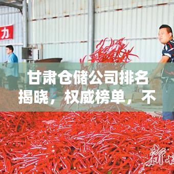 甘肅倉儲公司排名揭曉，權(quán)威榜單，不容錯過！