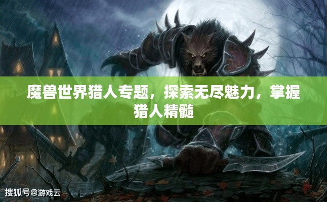 魔獸世界獵人專題，探索無盡魅力，掌握獵人精髓