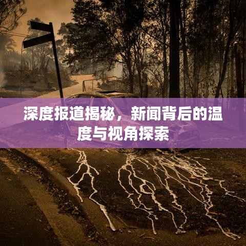 深度報道揭秘，新聞背后的溫度與視角探索