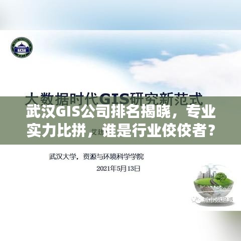 武漢GIS公司排名揭曉，專業(yè)實(shí)力比拼，誰是行業(yè)佼佼者？