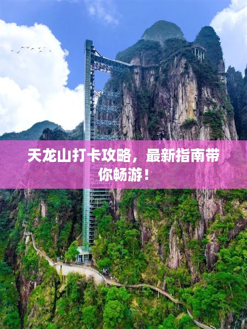 天龍山打卡攻略，最新指南帶你暢游！