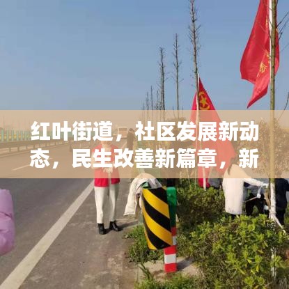 紅葉街道，社區(qū)發(fā)展新動態(tài)，民生改善新篇章，新聞頭條搶先看！
