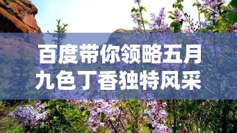 欣喜若狂 第2頁(yè)