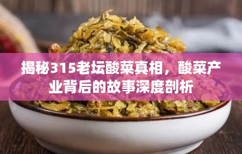 揭秘315老壇酸菜真相，酸菜產(chǎn)業(yè)背后的故事深度剖析